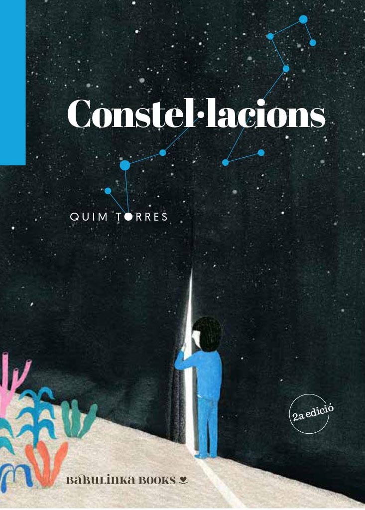 Constel·lacions